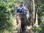 Mom and Dad on their elephant